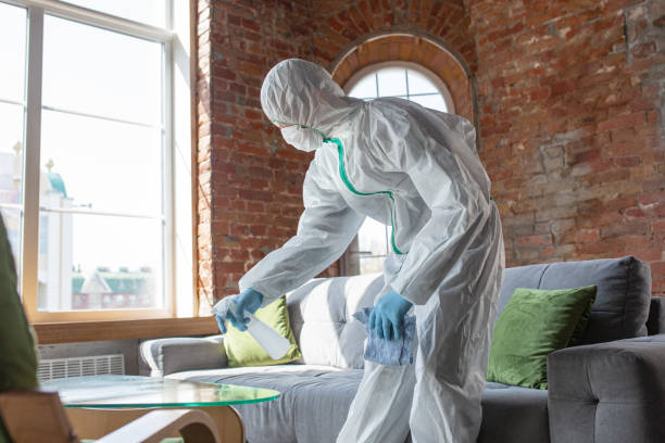 Best Asbestos and Lead Testing During Mold Inspection  in Chesapeake, OH